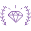 luxury-icon